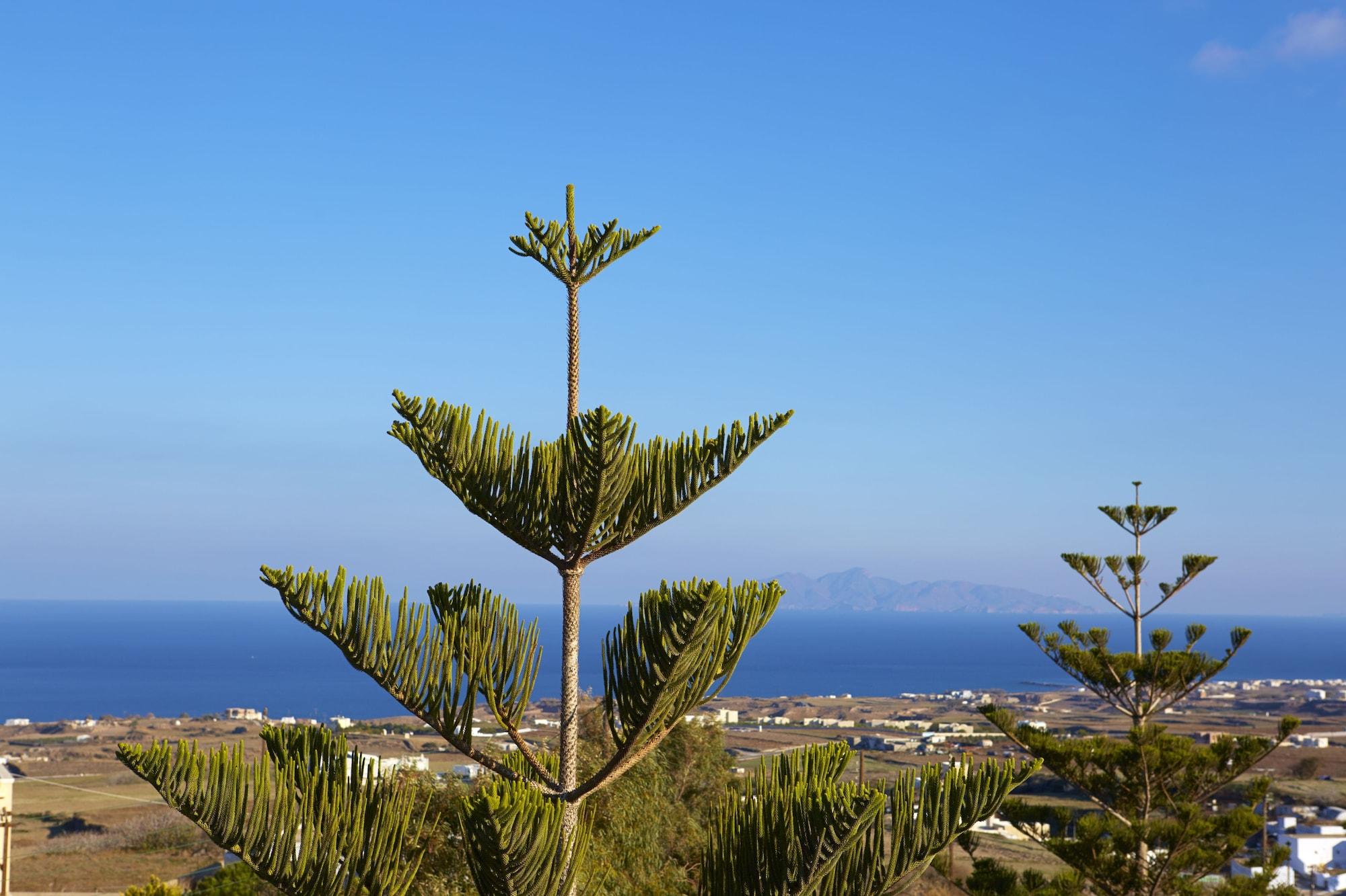 Milos Villas Hotel Exo Katikies  Dış mekan fotoğraf